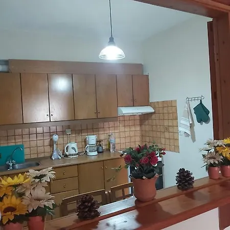 Πανσιόν Voula Pansion *